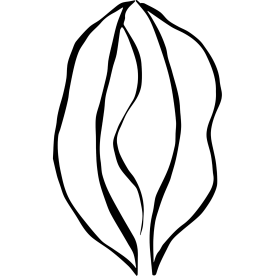 תמר כהן- סטודיו לאומנות